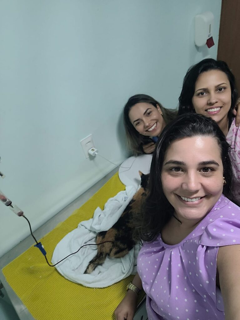 clínica veterinária toca dos animais